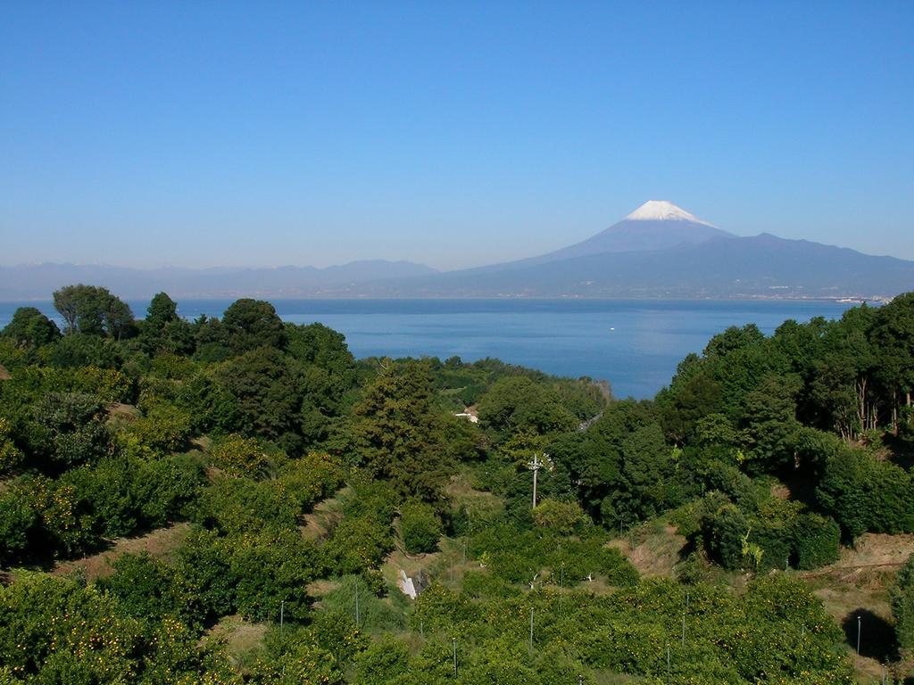 Hotel Yamaya Numazu Exteriér fotografie